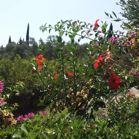 Lejlighed Apostolos & Eleni Family