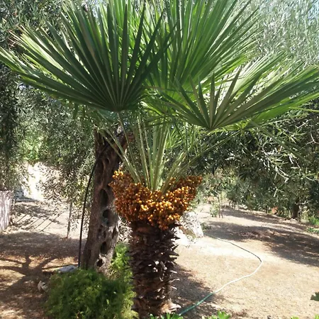 Apostolos & Eleni Family Lejlighed *