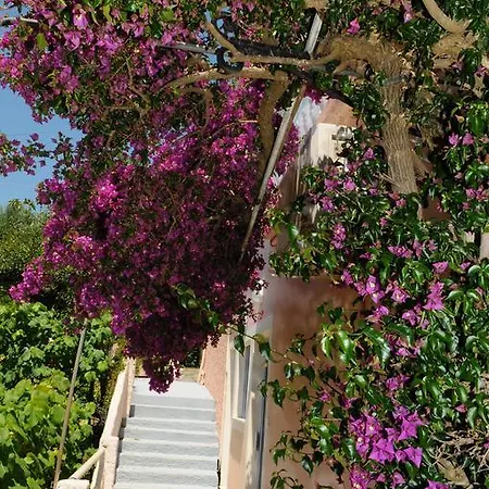 Apostolos & Eleni Family * Perama (Corfu)