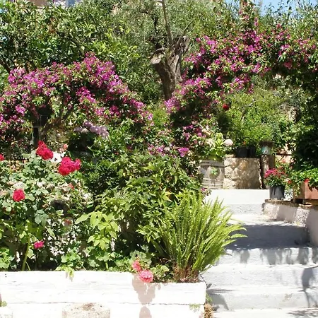 Apartment Apostolos & Eleni Family Perama (Corfu)