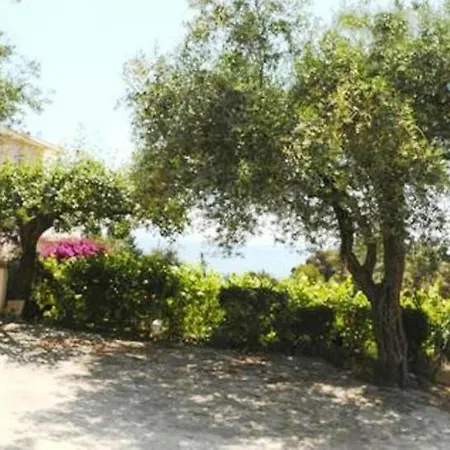 Apostolos & Eleni Family