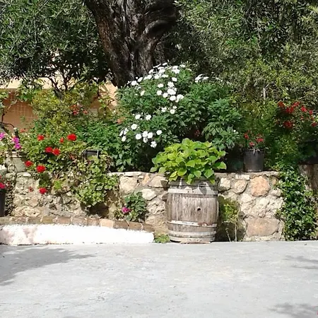 Apostolos & Eleni Family Lejlighed *