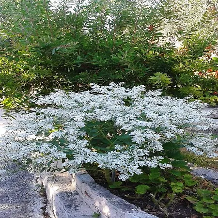 Apostolos & Eleni Family Lejlighed Perama (Corfu)