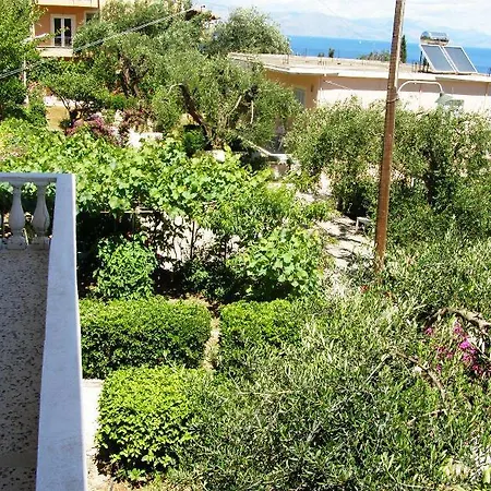 Apostolos & Eleni Family *