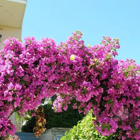 Apostolos & Eleni Family Lejlighed *