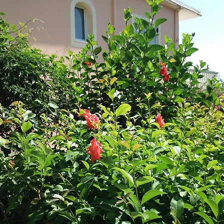 Apartamento Apostolos&eleni Family